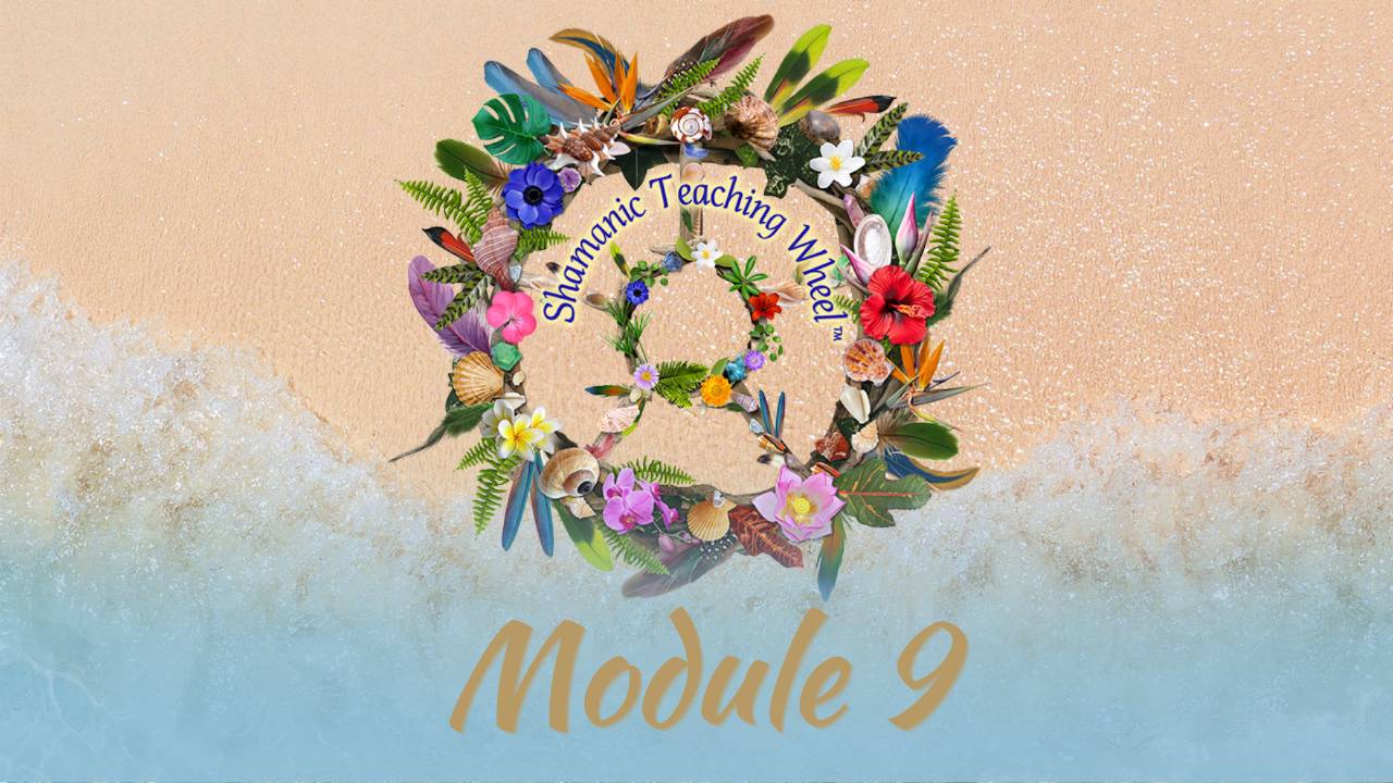 Scuola Sciamanica - Modulo 9