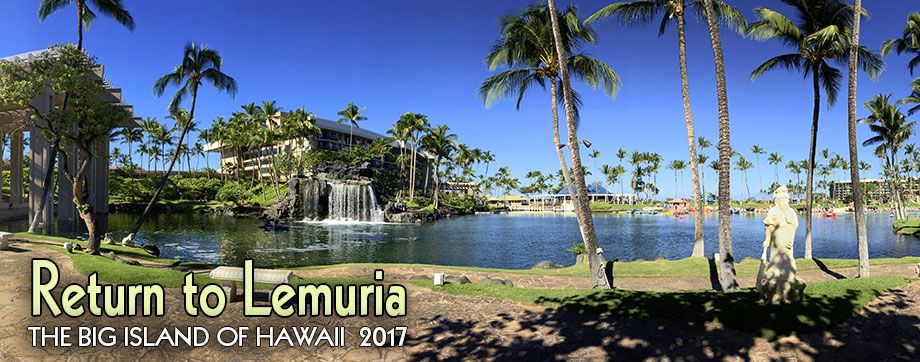 BANNERHawaii