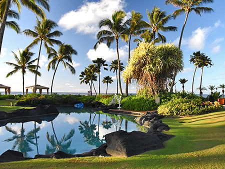 Hawaii1