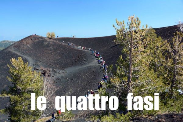 4fasilogo