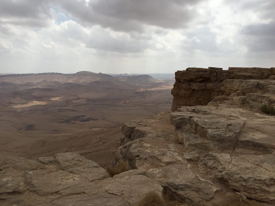 Negev2
