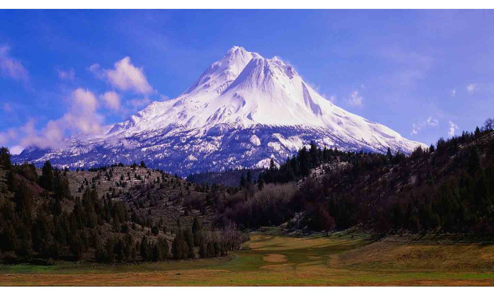 shasta1